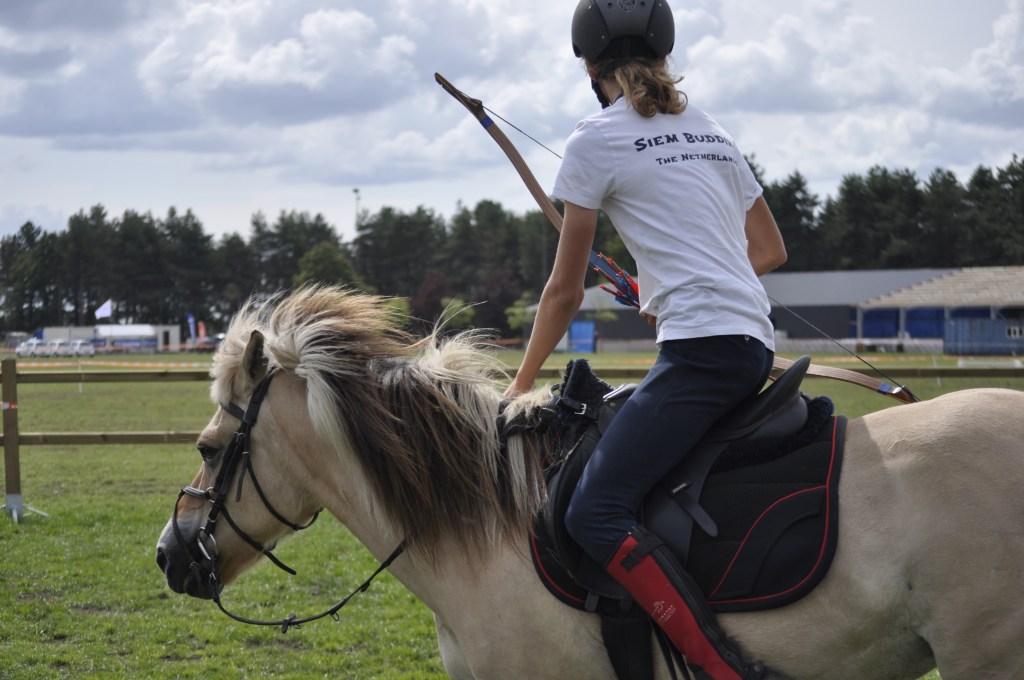 Demo World Championship Horse Driving 31 August&nbsp;Peelbergen