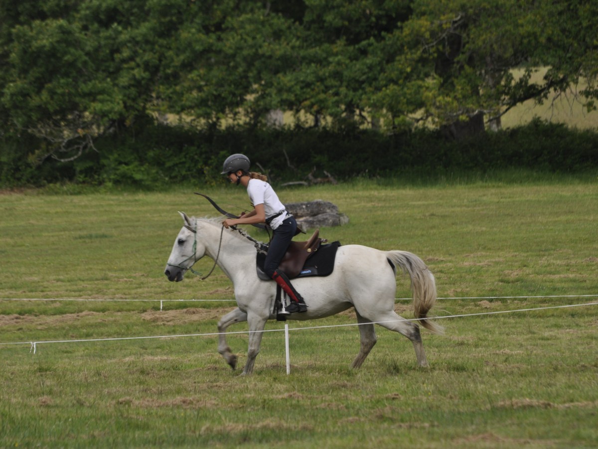 Training in Gauchoux and Open Gauchoux&nbsp;2019
