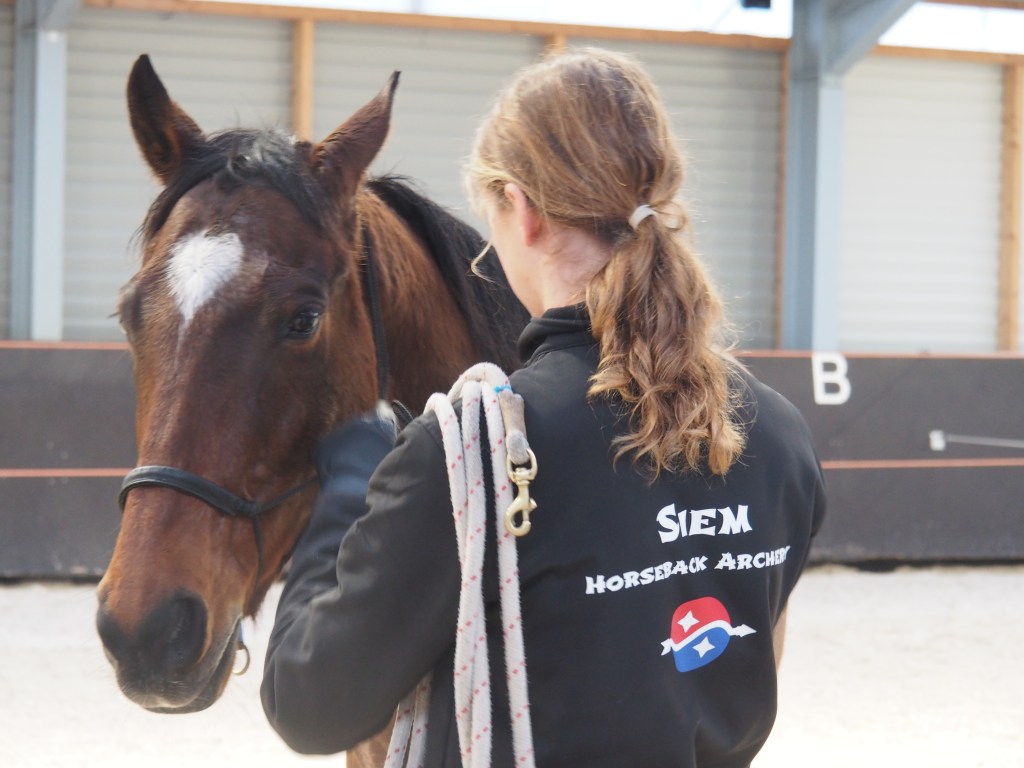 Freestyle Academy Level 1 and&nbsp;more