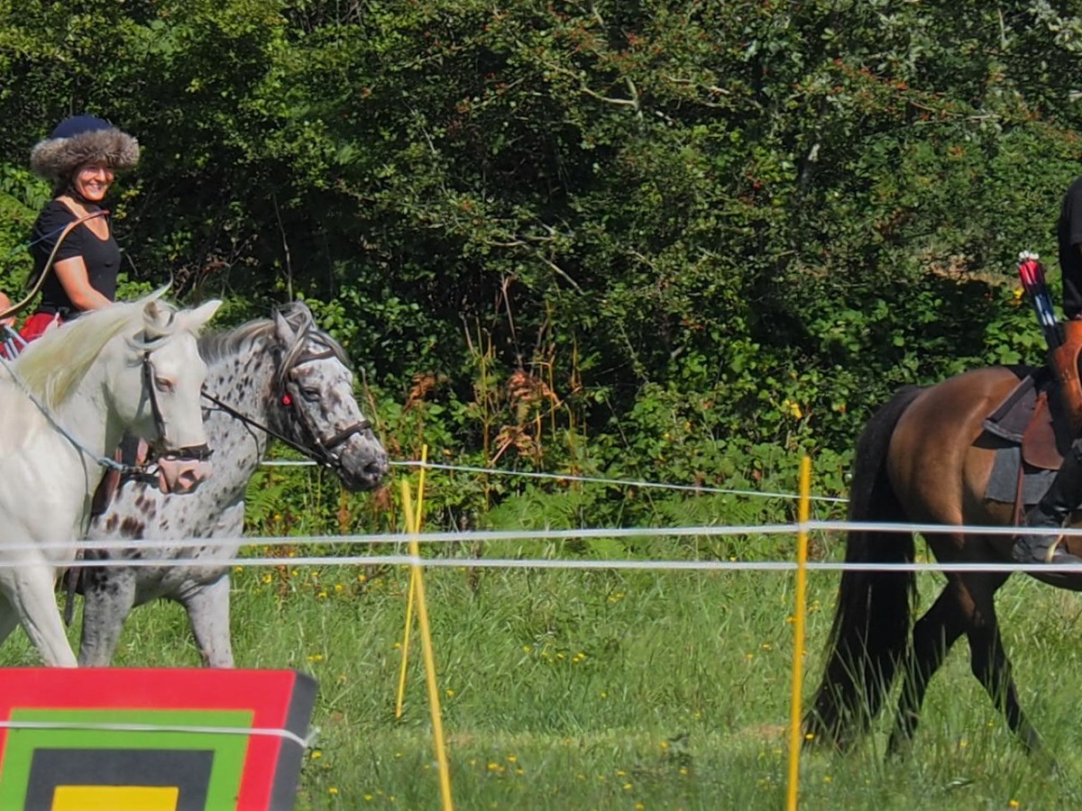 Clinic Wojtek Osiecki and Siem 15th Januari&nbsp;Wereldpaarden!