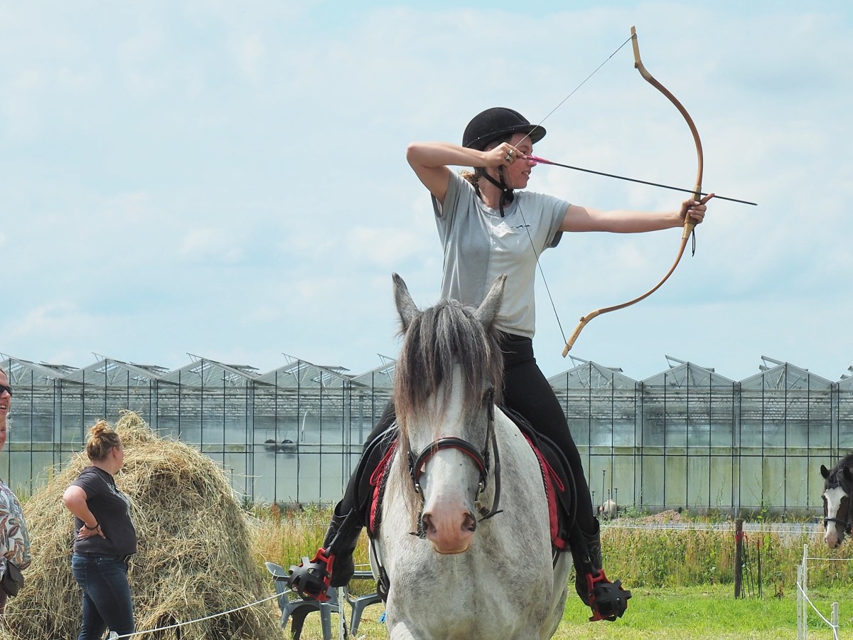 All over the Netherlands and also in Belgium: giving horseback archery&nbsp;Training