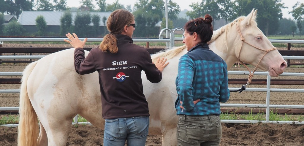 Horsetraining and horsemanship&nbsp;lessons