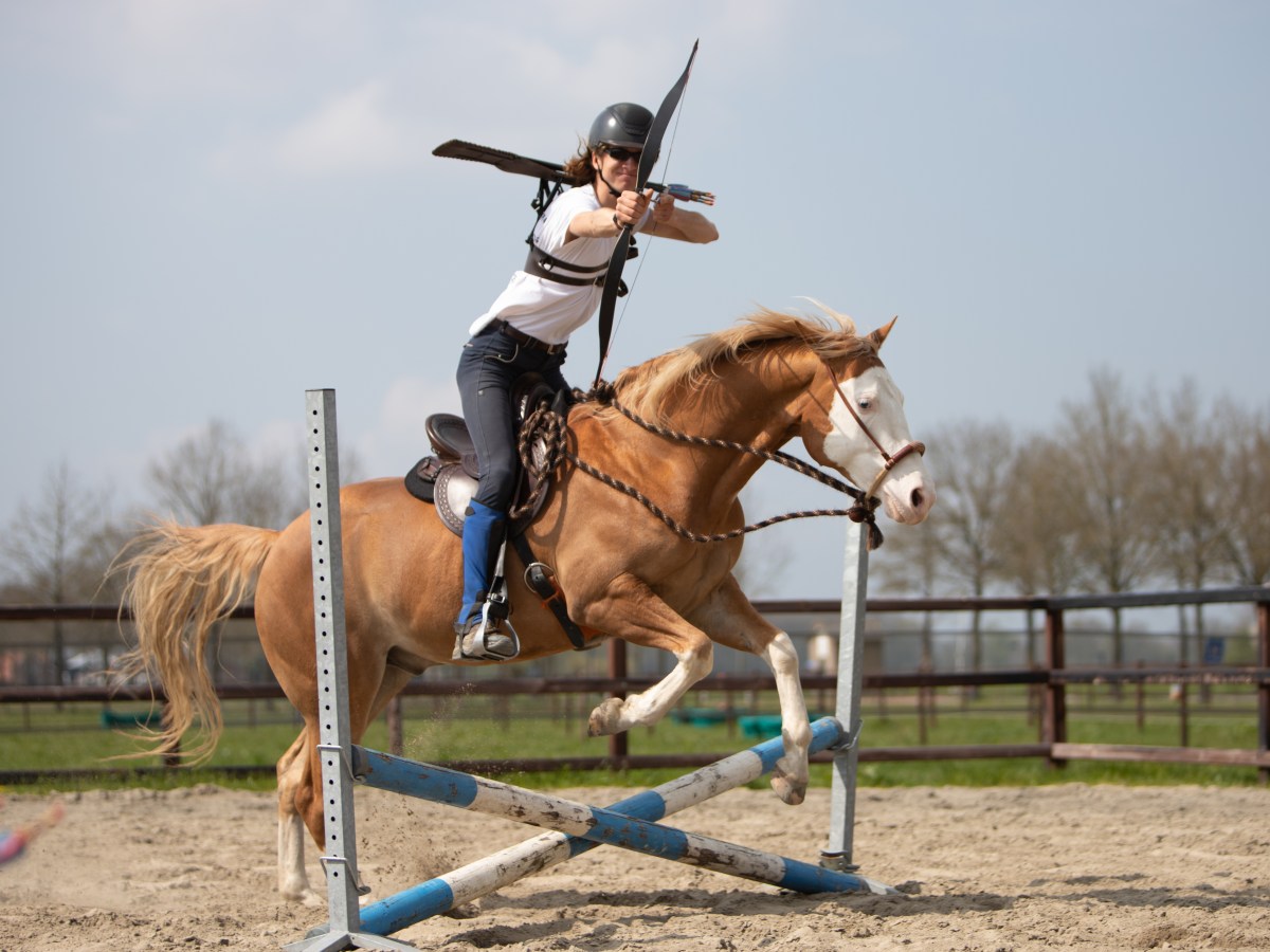 Het Paardenmeisje, MyCompass.horse en Het Yvonne van Gennip&nbsp;Fonds!